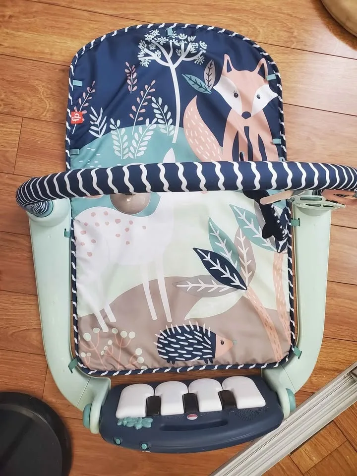 Fisher Price Gym Mat image indicator(2)