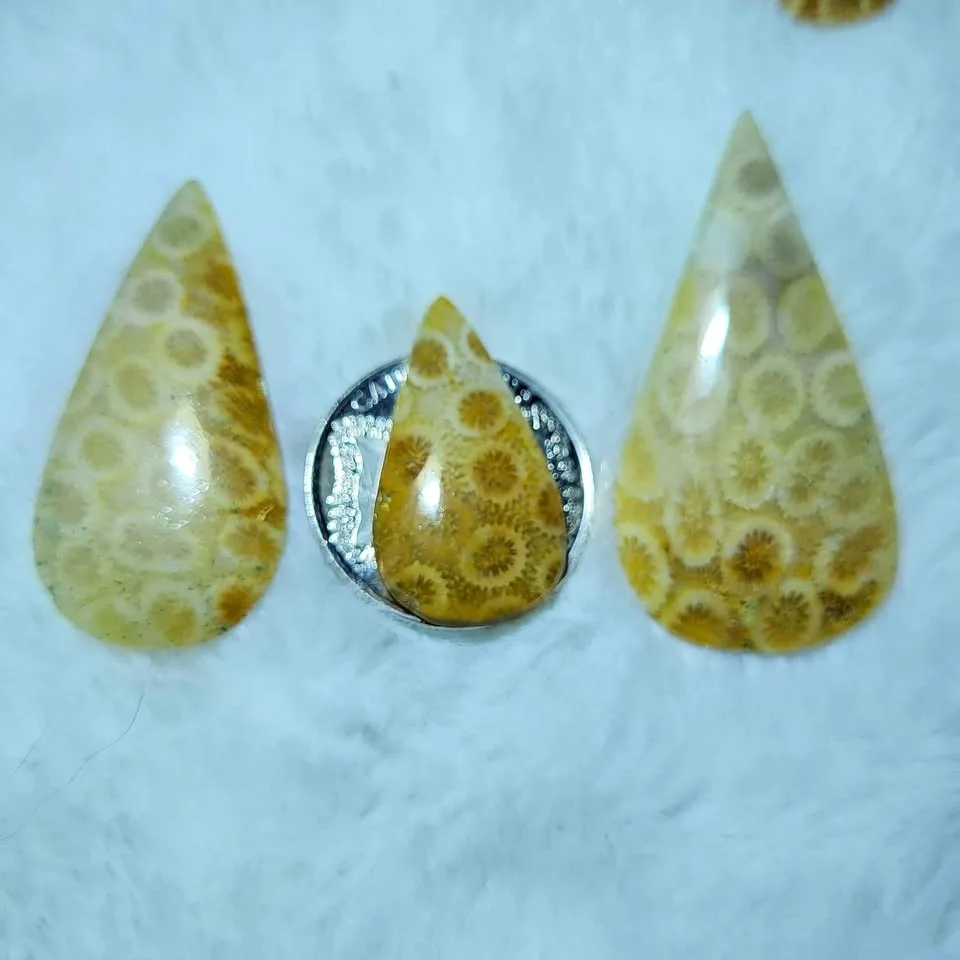 Fossil Coral Cabochons - 6 available thumbnail