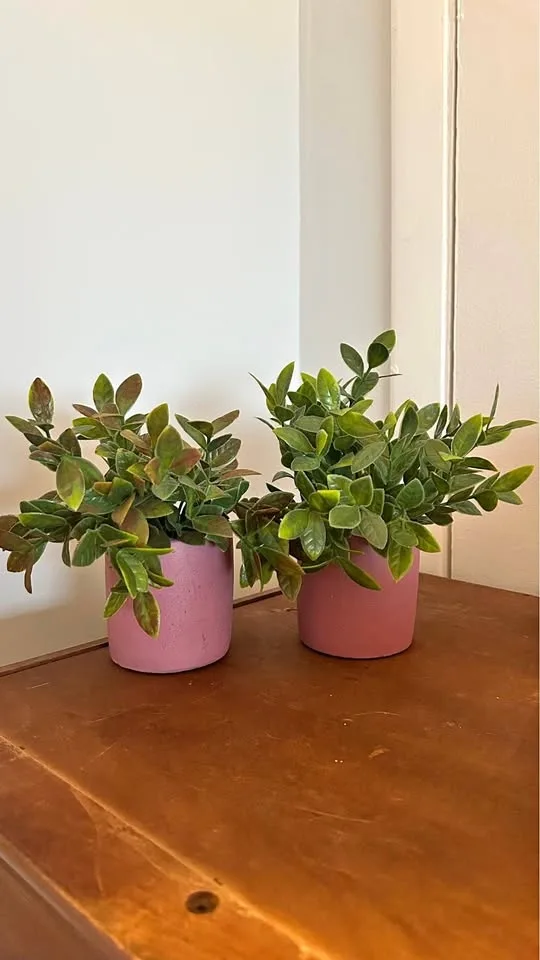2 small fake plant pink pot