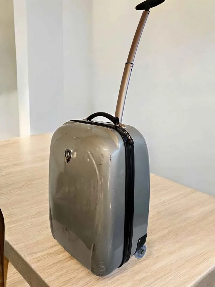 Heys Carry-On Spinner Luggage 22" x 14" x 9" TSA Approved