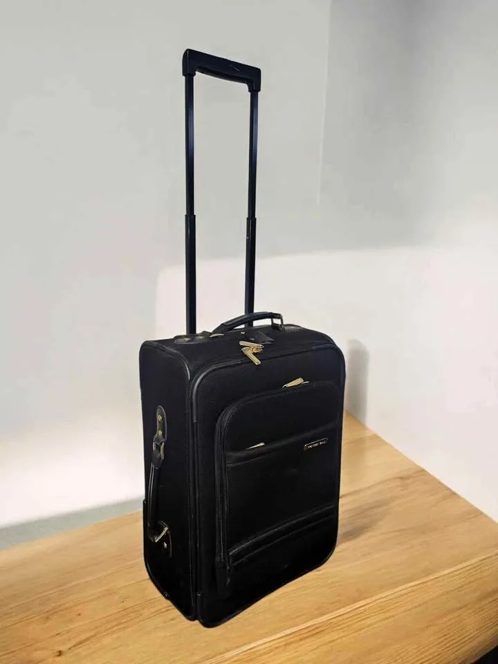 20 in Carry-On Luggage Rolling Suitcase