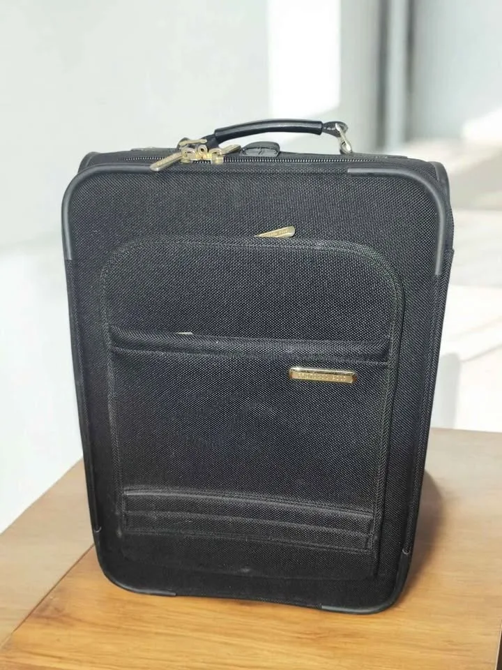 20 in Carry-On Luggage Rolling Suitcase image indicator(3)