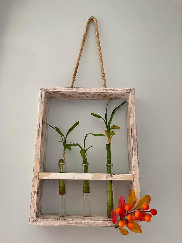decor with bamboo, plant