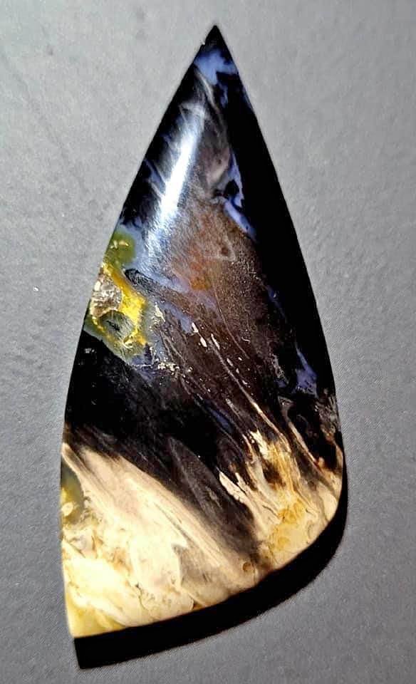 Palm Root Fossil cabochons - Hand Cut and Polished - RARE -