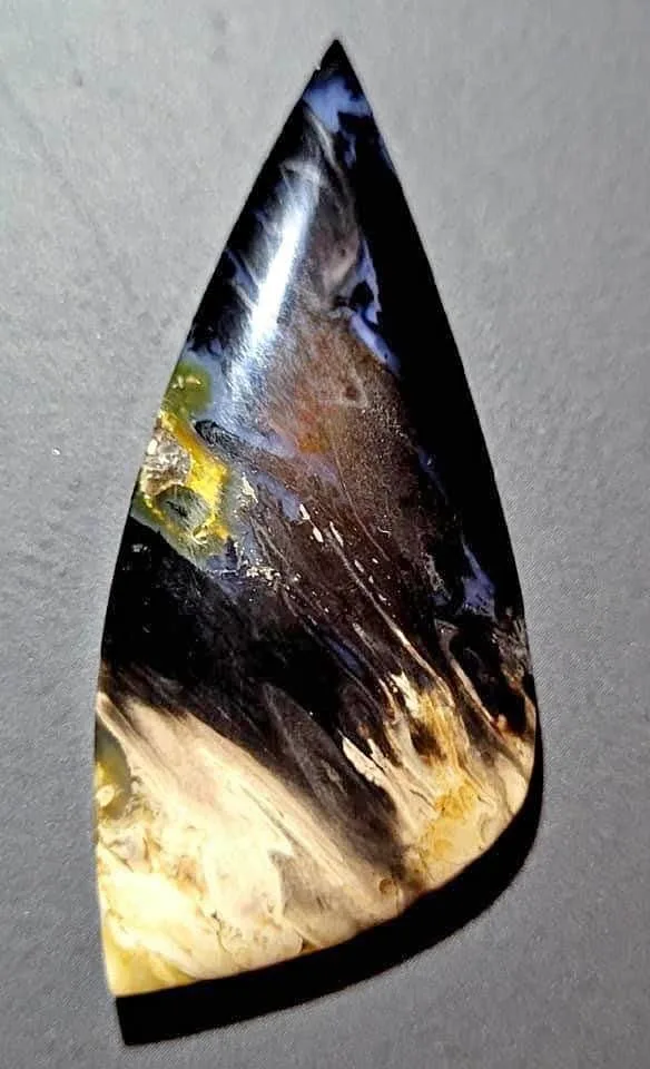 Palm Root Fossil cabochons - Hand Cut and Polished - RARE - thumbnail