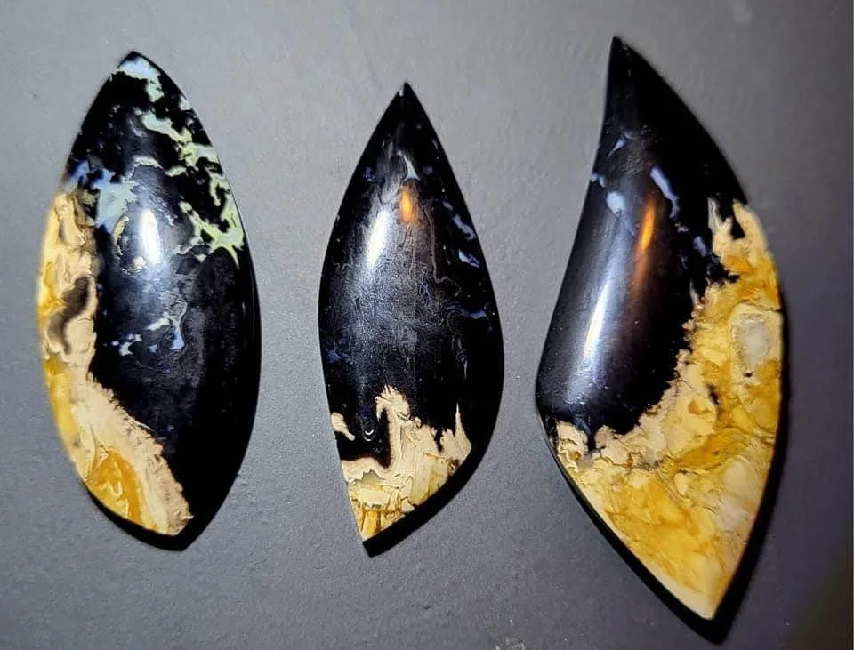 Palm Root Fossil cabochons - Hand Cut and Polished - RARE - image indicator(2)