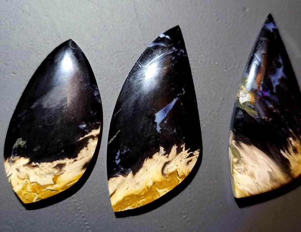 Palm Root Fossil cabochons - Hand Cut and Polished - RARE - - photo 3