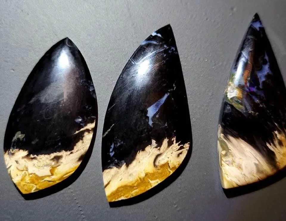 Palm Root Fossil cabochons - Hand Cut and Polished - RARE - image indicator(3)