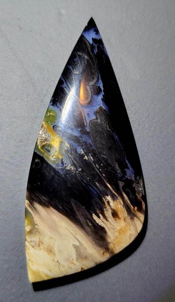 Palm Root Fossil cabochons - Hand Cut and Polished - RARE - - photo 4