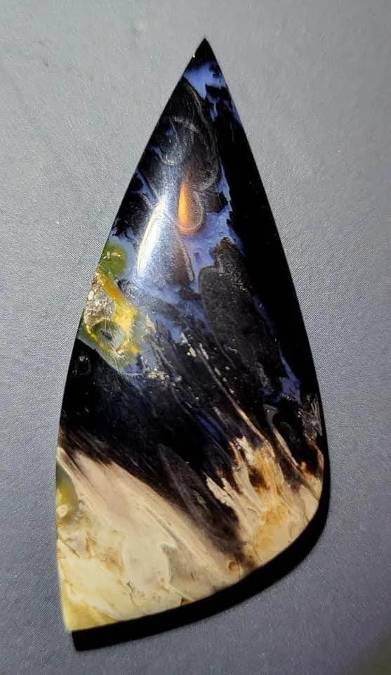 Palm Root Fossil cabochons - Hand Cut and Polished - RARE - image indicator(4)