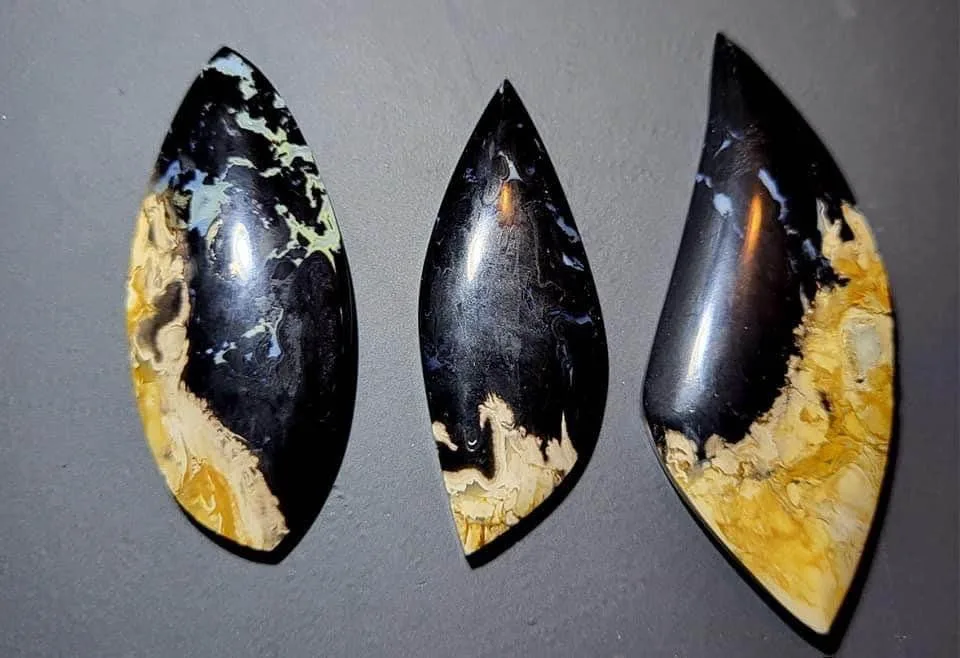 Palm Root Fossil cabochons - Hand Cut and Polished - RARE - image indicator(5)