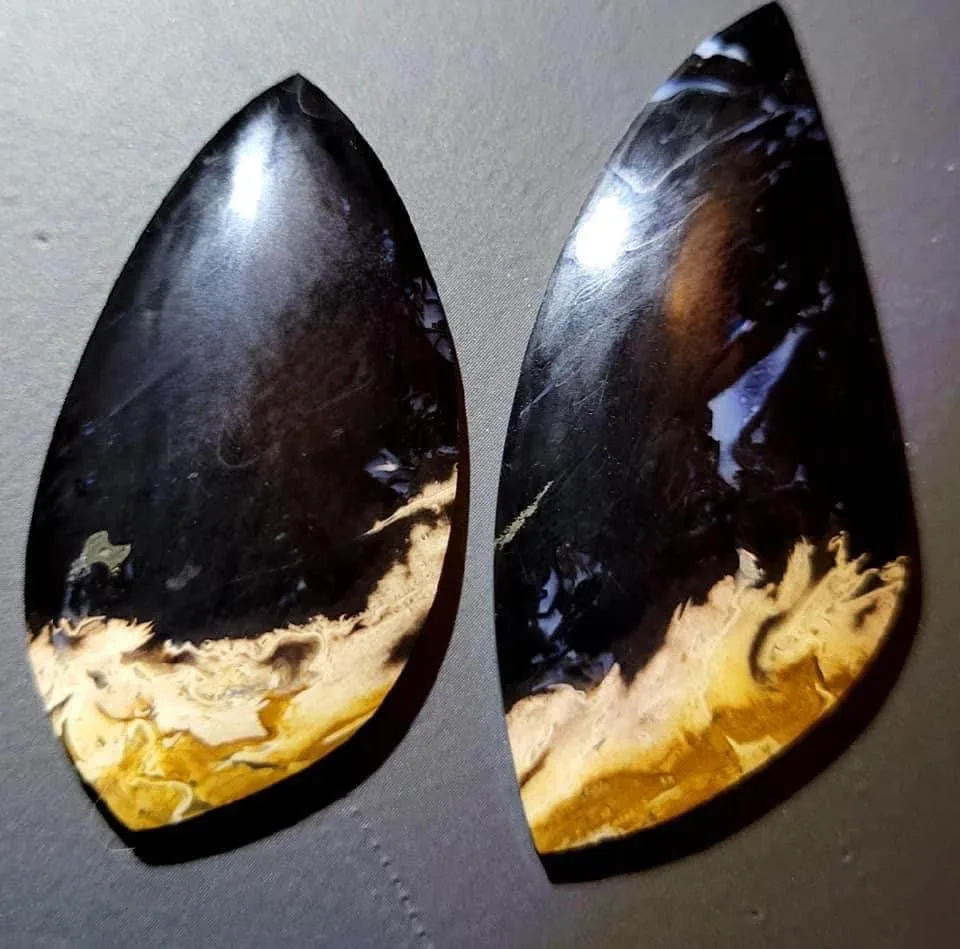 Palm Root Fossil cabochons - Hand Cut and Polished - RARE - image indicator(7)
