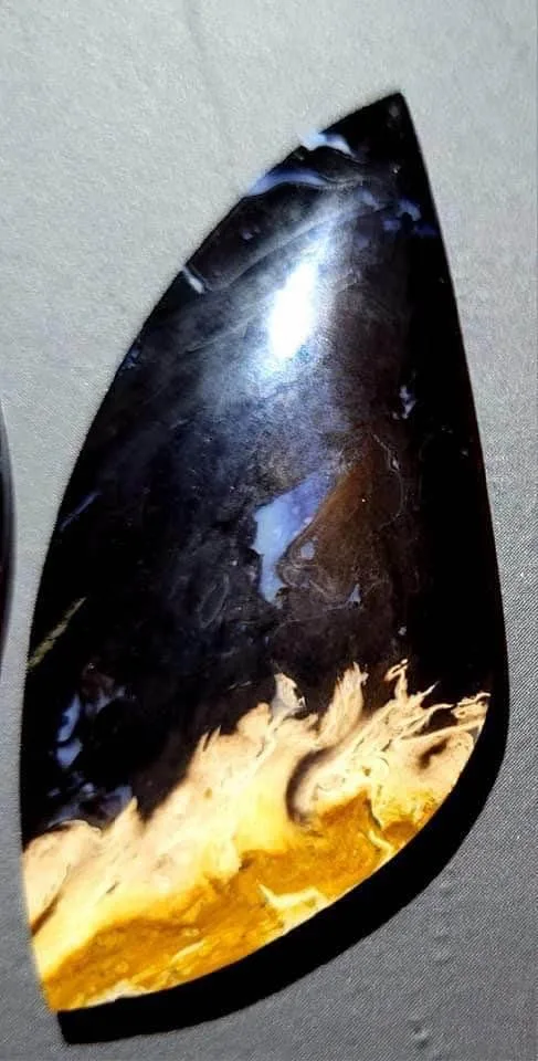 Palm Root Fossil cabochons - Hand Cut and Polished - RARE - image indicator(8)