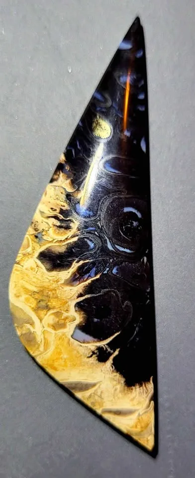 Palm Root Fossil cabochons - Hand Cut and Polished - RARE - image indicator(10)