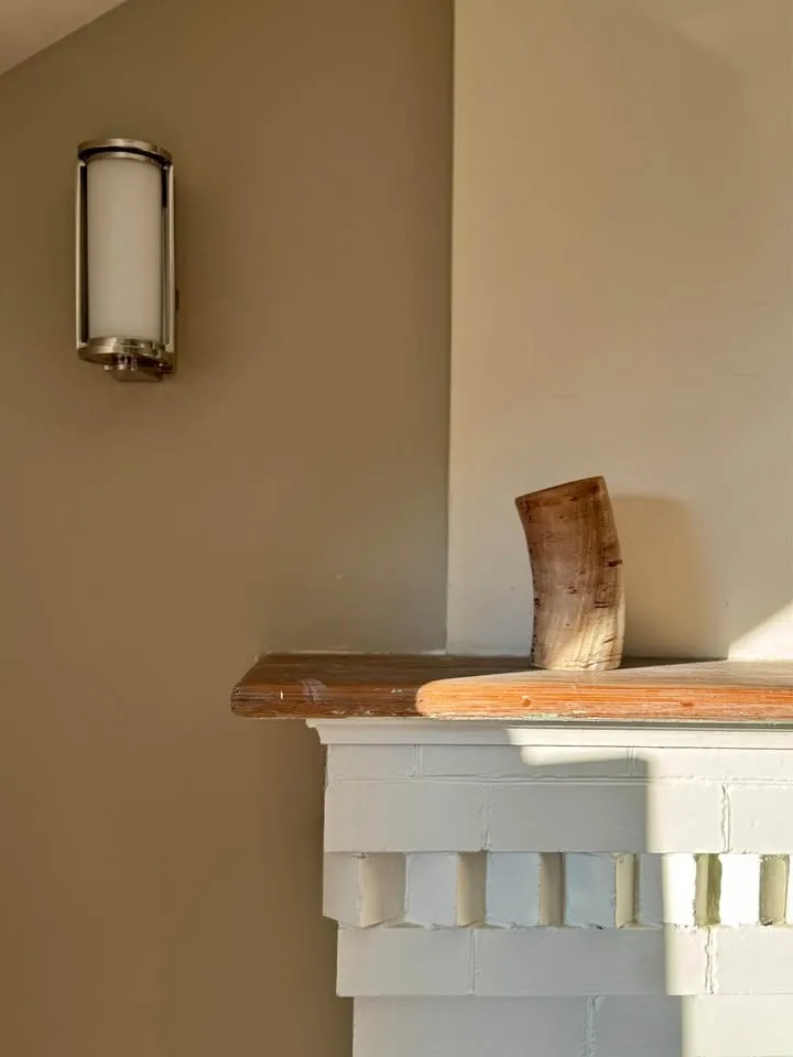 Vintage Natural Horn Vessel /Vase Rustic Decor, Home Decor image indicator(5)