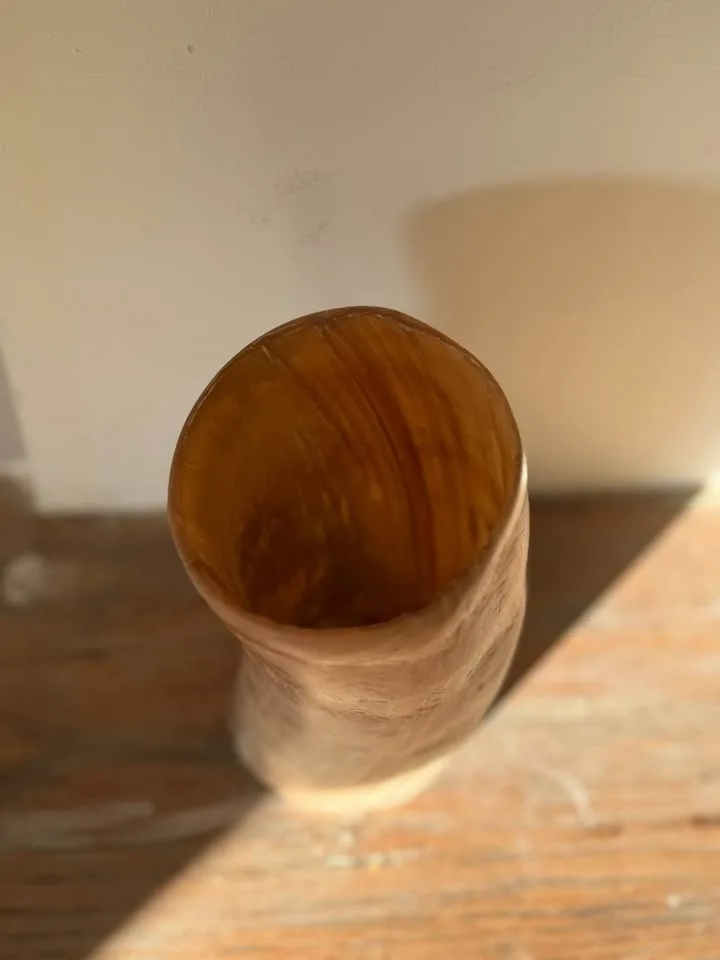 Vintage Natural Horn Vessel /Vase Rustic Decor, Home Decor image indicator(7)