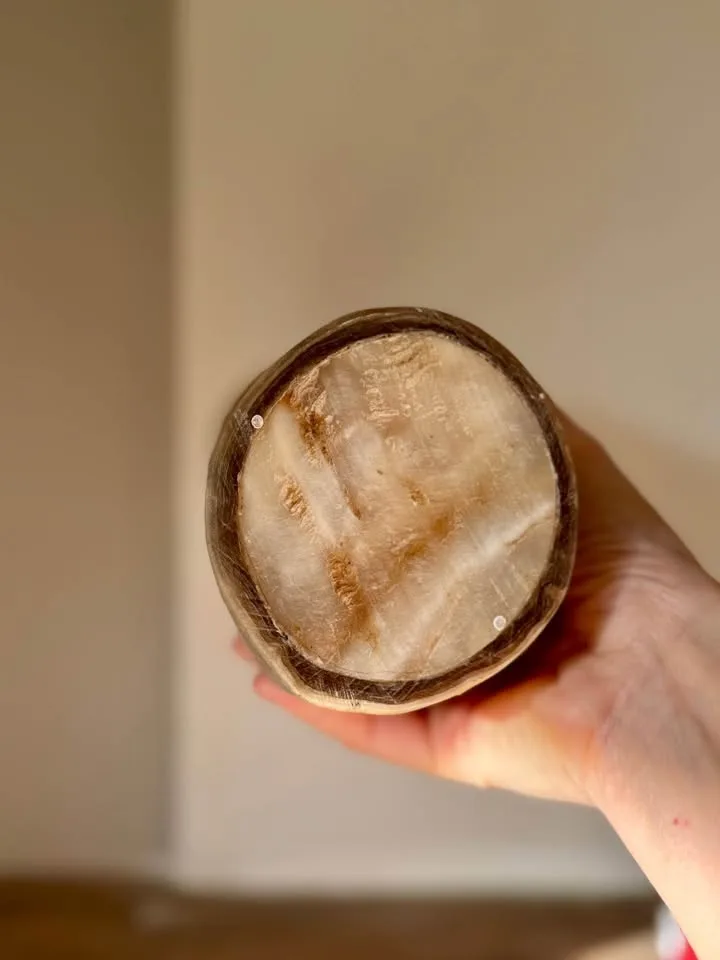 Vintage Natural Horn Vessel /Vase Rustic Decor, Home Decor image indicator(8)