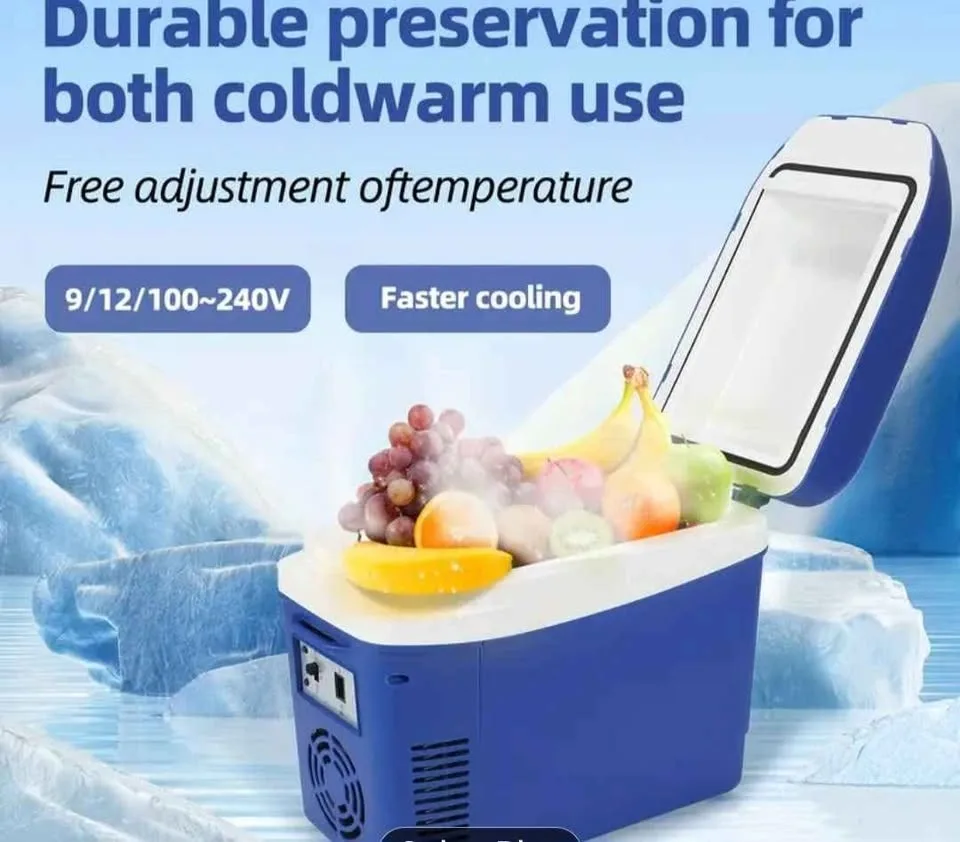 Mini Fridge for Car / Portable Cooler and Warmer image indicator(5)
