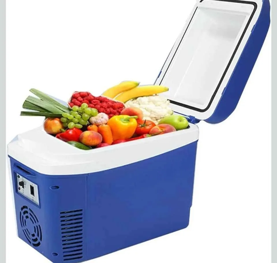 Mini Fridge for Car / Portable Cooler and Warmer image indicator(10)