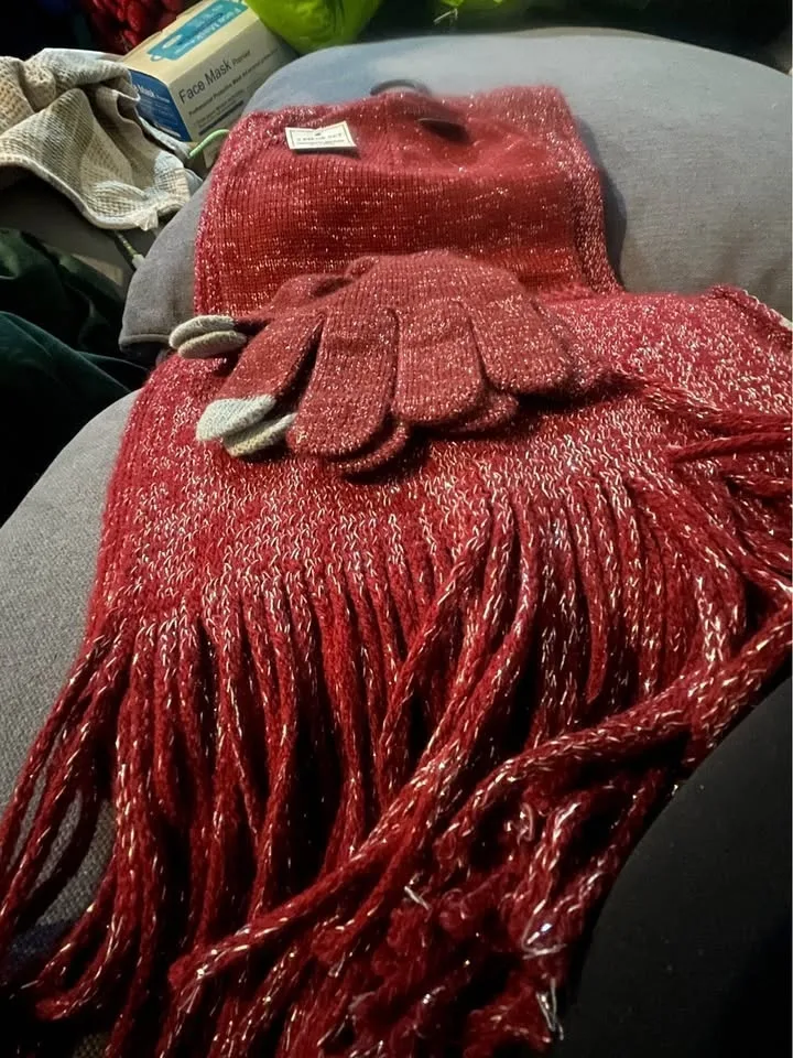 Winter set SagHarbor image indicator(2)