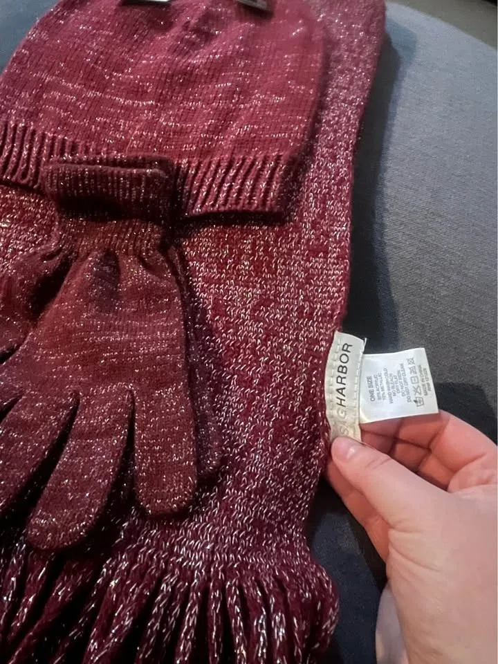 Winter set SagHarbor image indicator(3)