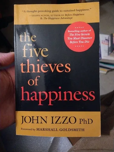 The Five Thieves Of Happiness By John Izzo