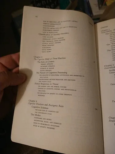 Anxiety Disorders And Phobia A Cognitive Perspective image indicator(5)