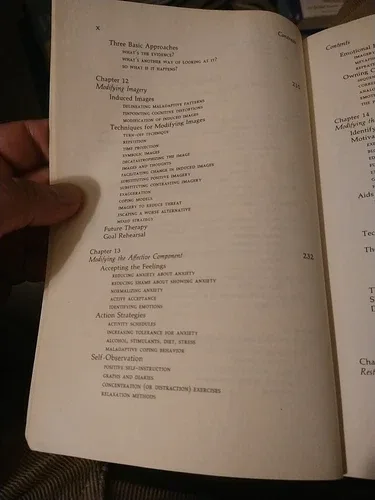 Anxiety Disorders And Phobia A Cognitive Perspective image indicator(9)