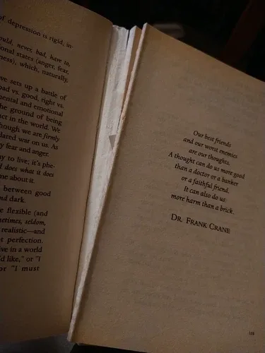 How To Heal Depression By Harold H. Bloomfield image indicator(4)