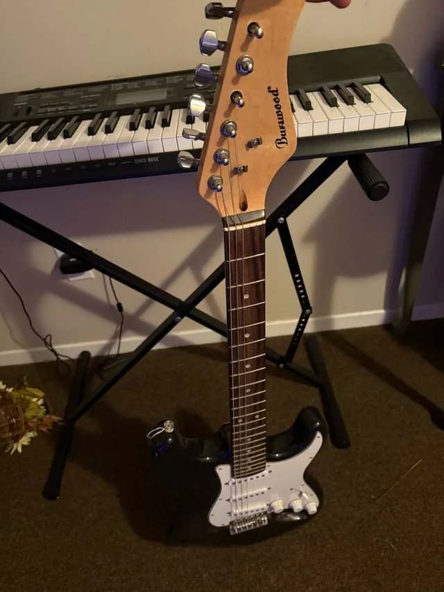 electric guitar (READ DESCRIPTION)