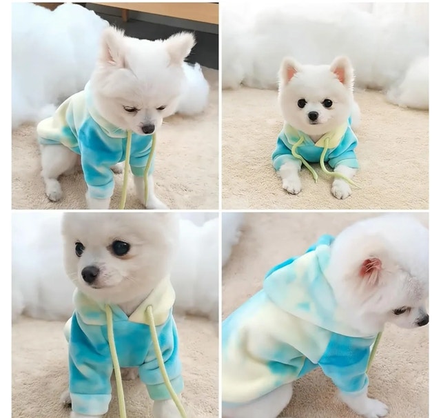 Dog Hoodie XL - photo 3