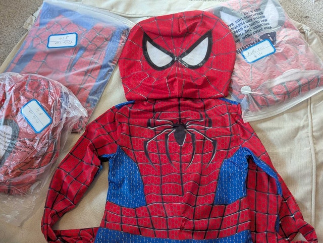 Spiderman Costume - photo 3