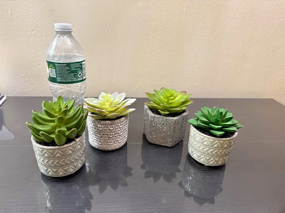 Faux succulent plants thumbnail