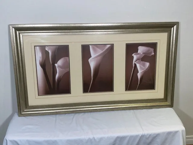 Art 3-Panel Flower Print Under Glass - 41x23 Inches