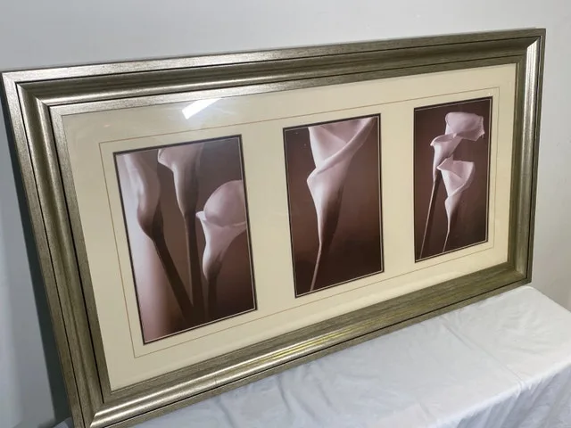 Art 3-Panel Flower Print Under Glass - 41x23 Inches image indicator(2)