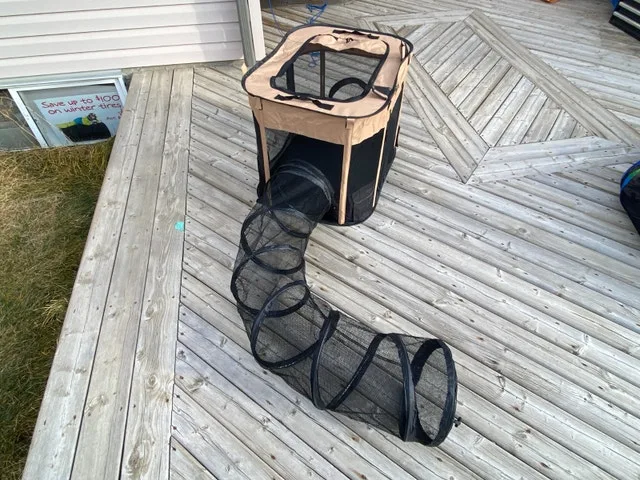 Large Portable Enclosed Cat Playpen with Tunnel - Brown image indicator(5)