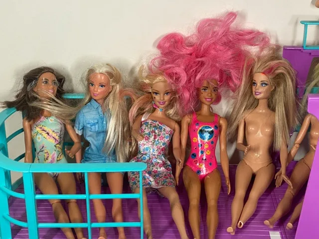 Large Barbie Lot Incl Sisters Cruise Ship image indicator(4)