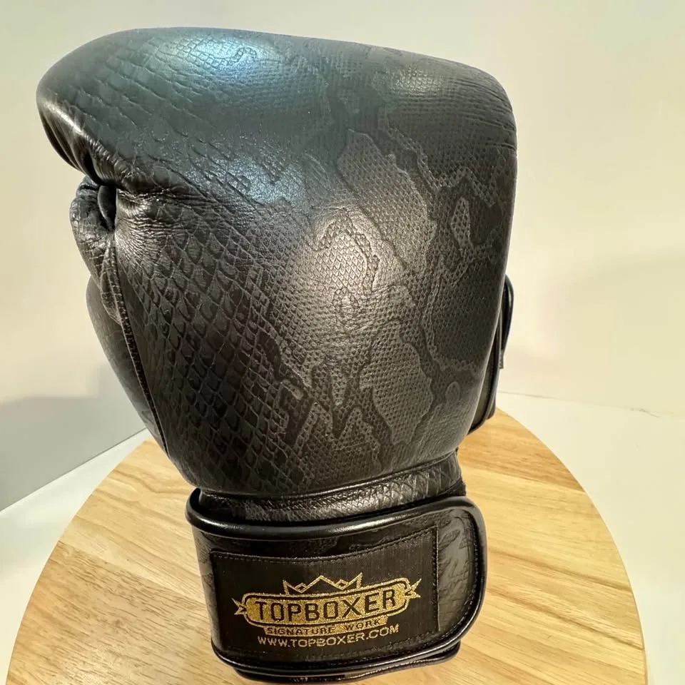 BRAND NEW-NEVER worn ' TopBoxer' boxing gloves image indicator(4)