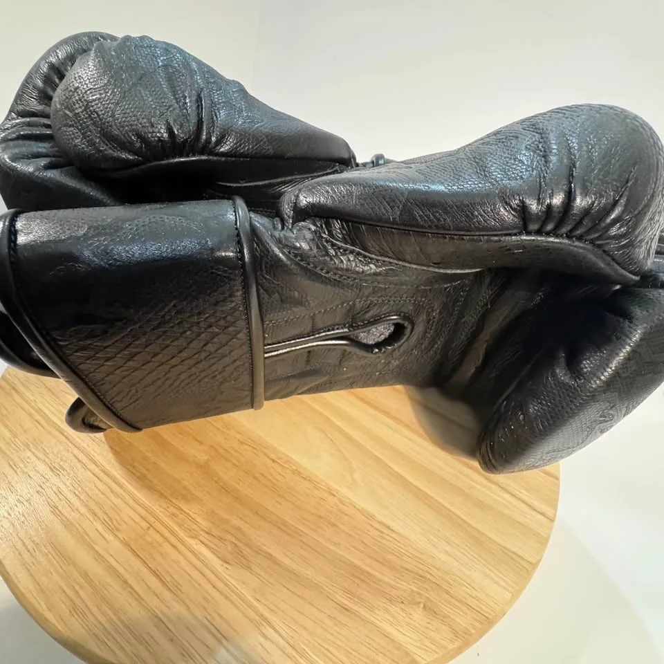 BRAND NEW-NEVER worn ' TopBoxer' boxing gloves image indicator(5)