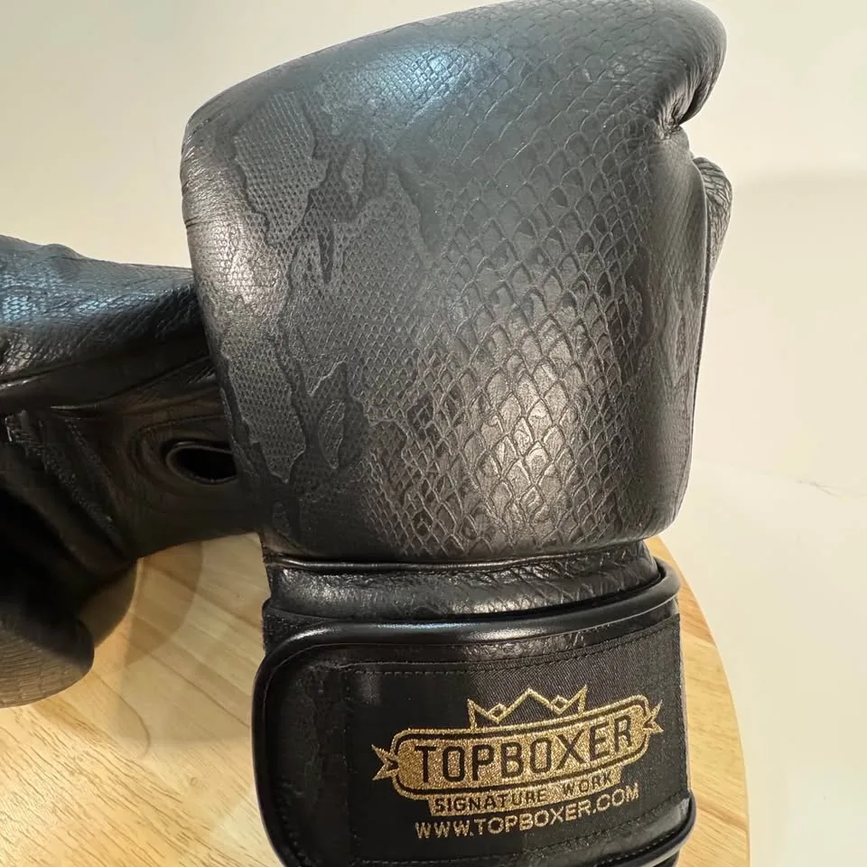 BRAND NEW-NEVER worn ' TopBoxer' boxing gloves image indicator(7)