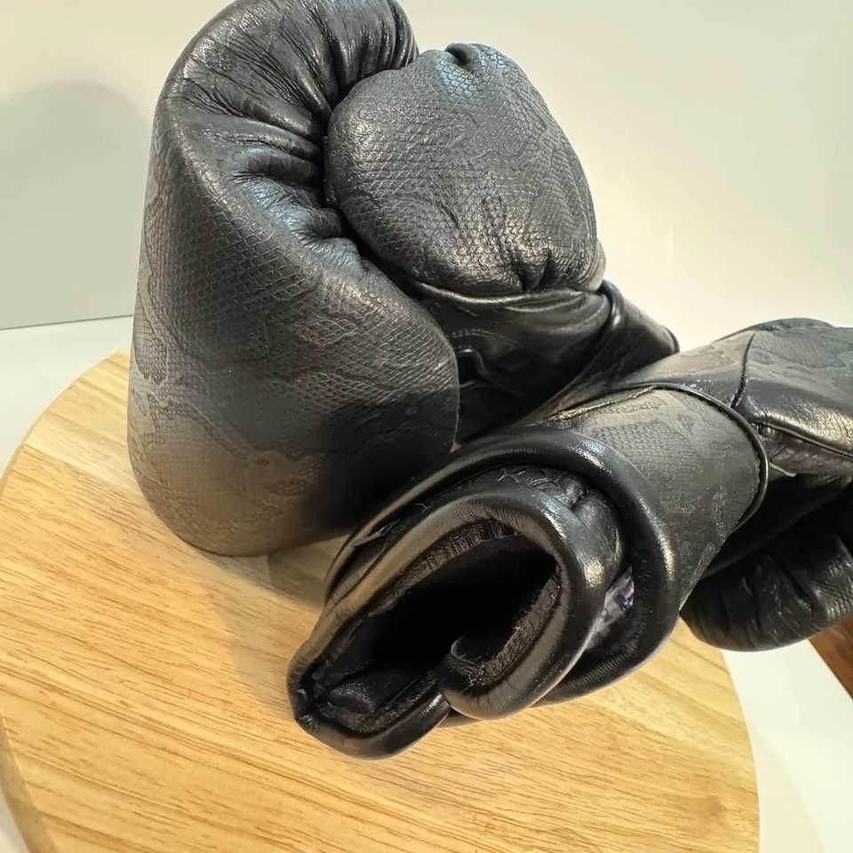 BRAND NEW-NEVER worn ' TopBoxer' boxing gloves image indicator(8)