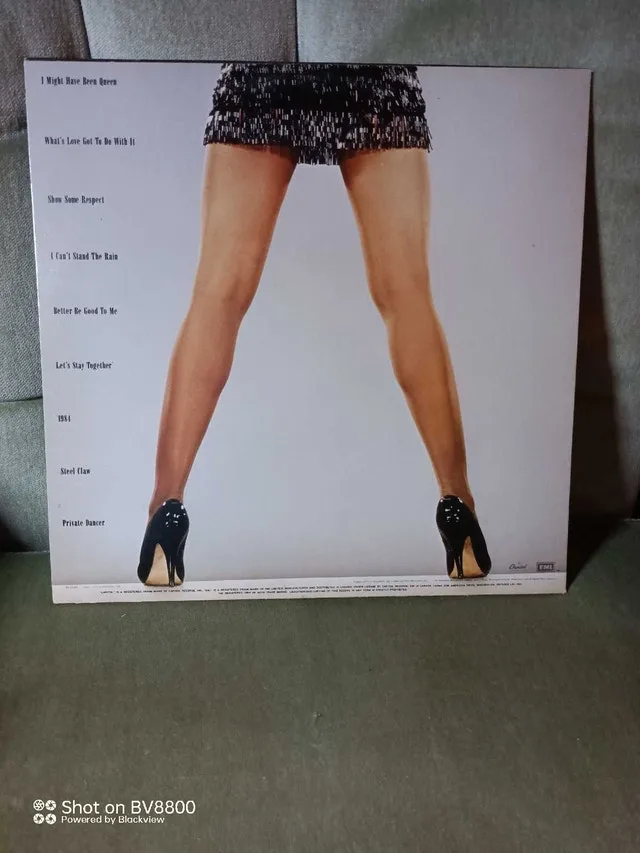 Tina Turner Private Dancer Vinyl image indicator(4)