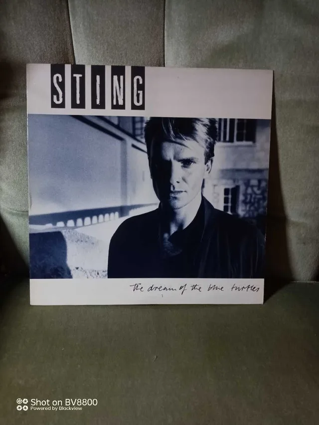 Sting The Dream of the Blue Turtles Vinyl Record