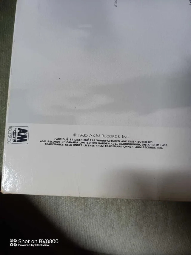 Sting The Dream of the Blue Turtles Vinyl Record image indicator(3)