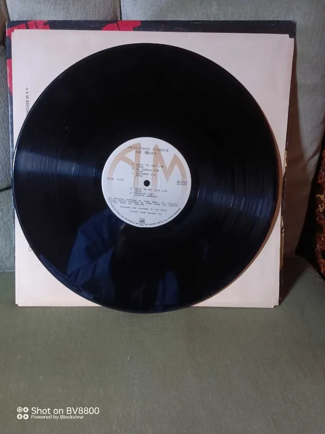 The Police - Outlandos d'Amour Vinyl Record - 1979 Rock Album image indicator(2)