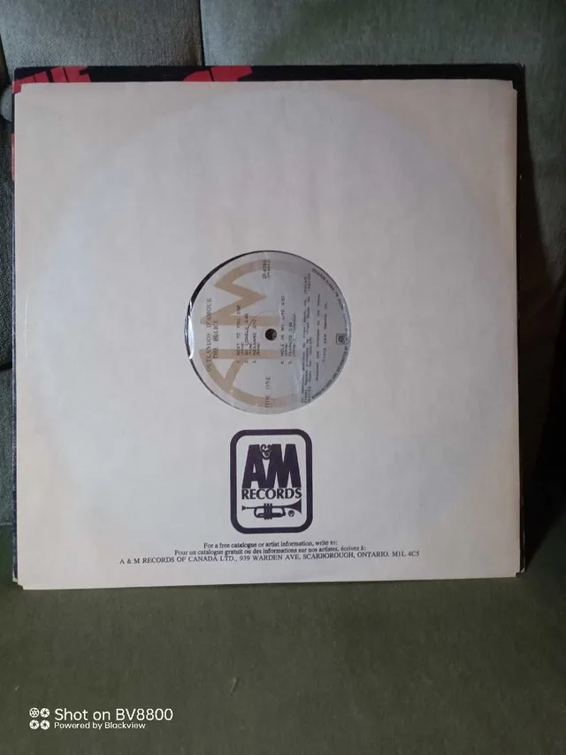 The Police - Outlandos d'Amour Vinyl Record - 1979 Rock Album image indicator(3)