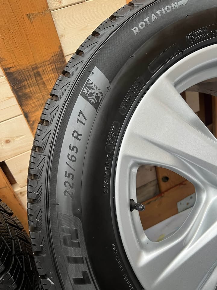 225/65R17 OEM Toyota RAV4 Rims and Mixheli. X ICE winter tires - photo 4