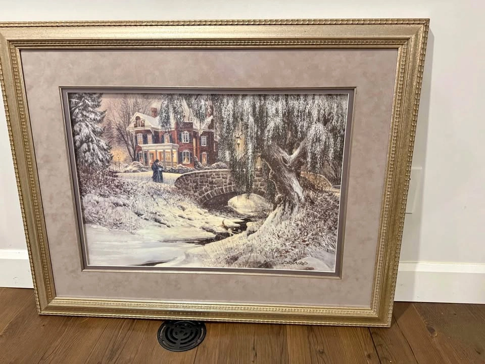 Art/Frame- Winter Lace by Douglas R Laird