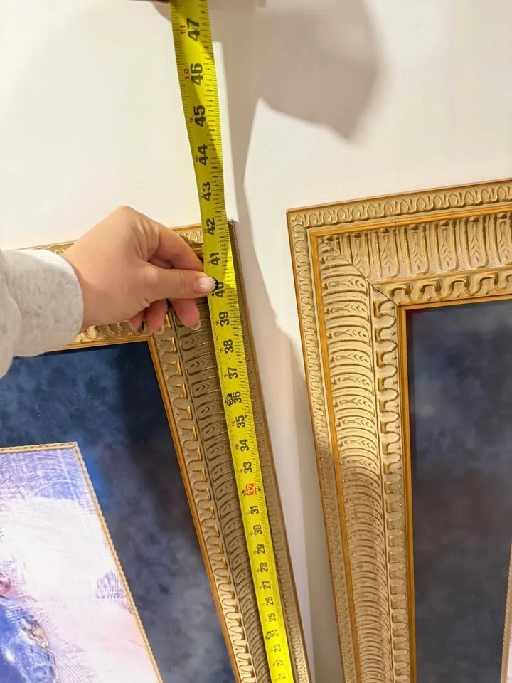 2 large pictures/frames/art image indicator(3)