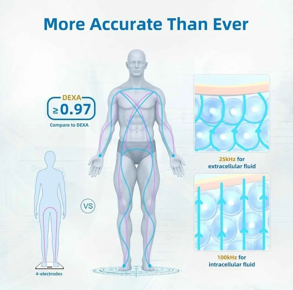 Lepulse Body Fat Scale 8 Electrode Large Display image indicator(3)